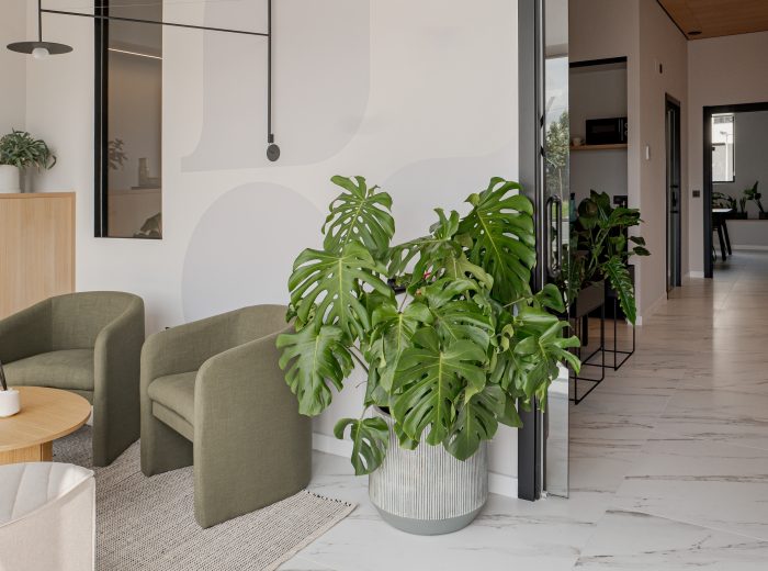 Acceso al interior de la oficina desde la recepción, con diseño en tonos neutros, beige, verde y madera de roble en proyecto AM48, Vitoria-Gasteiz