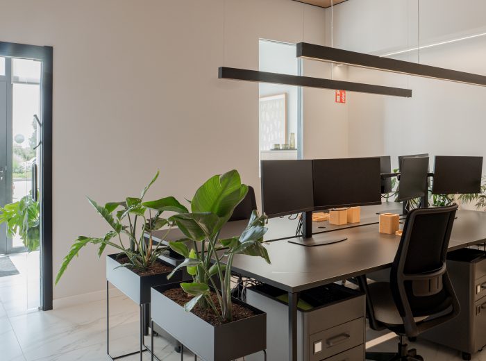 Vista de la zona de trabajo de una oficina que incluye cuatro puestos de trabajo, con una distribución que permite una vista directa hacia la recepción, creando un ambiente funcional y ordenado en proyecto AM48, Vitoria-Gasteiz