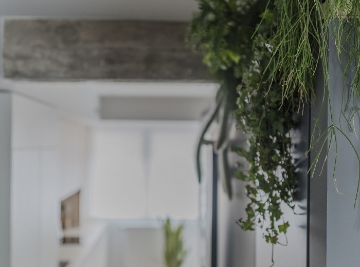 Detalle de  contraste de plantas con viga de hormigón visto, reforma interior BG9, Vitoria-Gasteiz