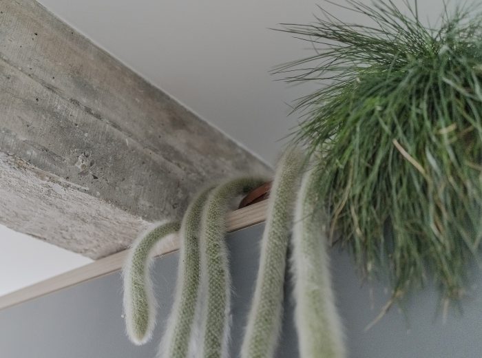 Detalle de  contraste de plantas con viga de hormigón visto, reforma interior BG9, Vitoria-Gasteiz